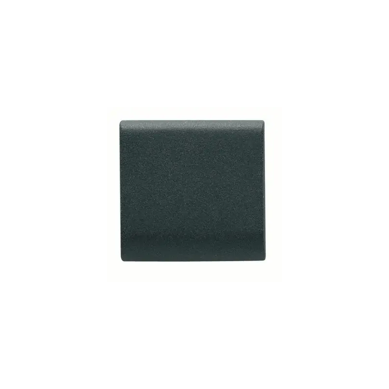 TASTO INTERCAMB.NERO - Gewiss GW12541