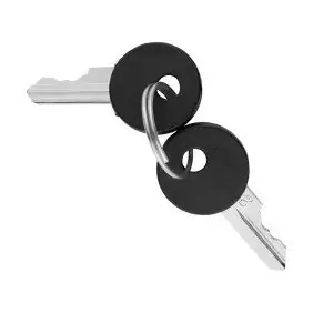 SET 2 CHIAVI PER APPARECCHI DI COMANDO - Gewiss GW20901