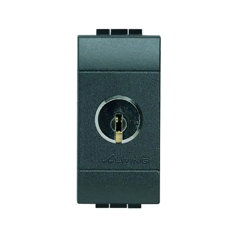 living int - interrut 2P 16A chiavi uguali - BTicino L4012C