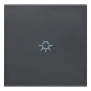 Tasto 2M simbolo luce assiale grigio - Vimar 20132.L