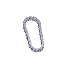 CATENA TRASMISSIONE - FL180 - CAME 119RIA036