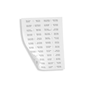 FOGLI ETICHETTE CARTELLINI PORTANOMI ULTRA - COMELIT UT9110