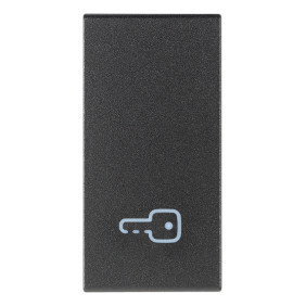 Tasto 1M simbolo chiave grigio - Vimar 19021.P