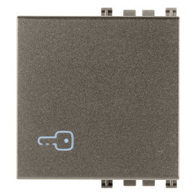 Tasto 2M simbolo chiave Metal - Vimar 19022.P.M