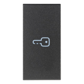 Tasto 1M simbolo chiave assiale grigio - Vimar 19131.P