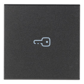 Tasto 2M simbolo chiave assiale grigio - Vimar 19132.P