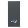 Tasto 1M simbolo chiave grigio - Vimar 20021.P