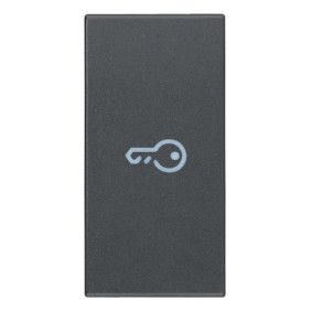 Tasto 1M simbolo chiave assiale grigio - Vimar 20131.P