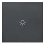 Tasto 2M simbolo luce assiale grigio - Vimar 20132.L