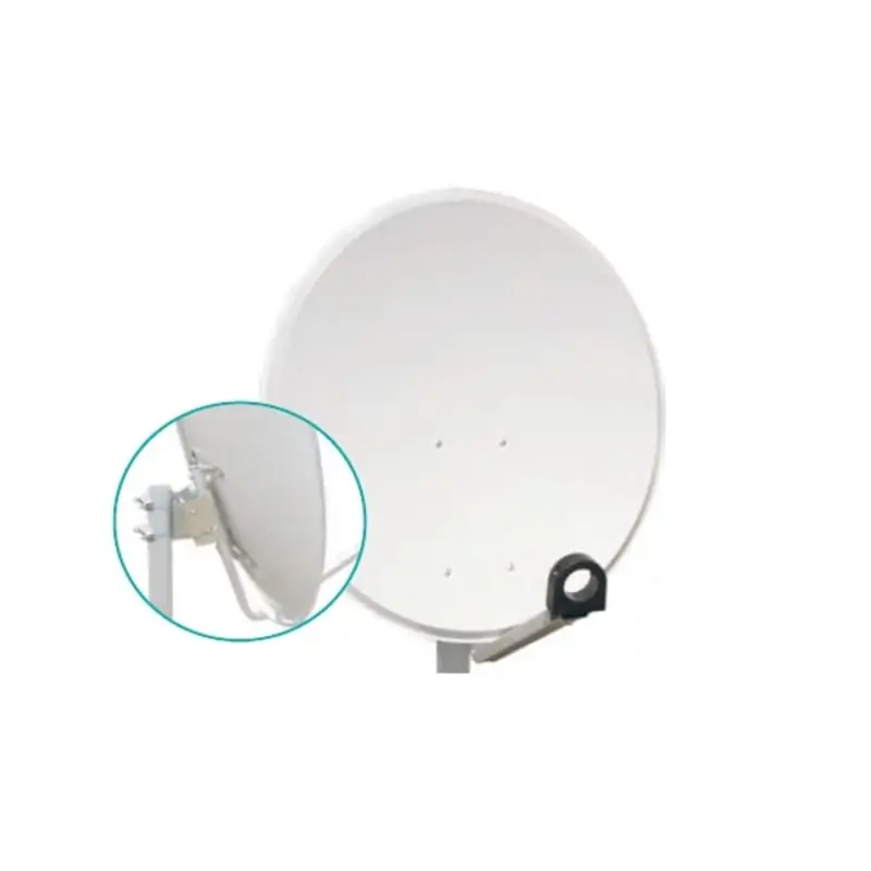 ZNO100C ZANCHERIA x RO100 - FRACARRO 289285