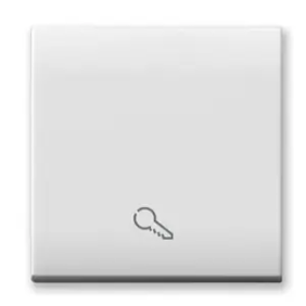 TASTO SIMBOLO CHIAVE ILLU. DOMUS 2M - AVE 441TKP/2