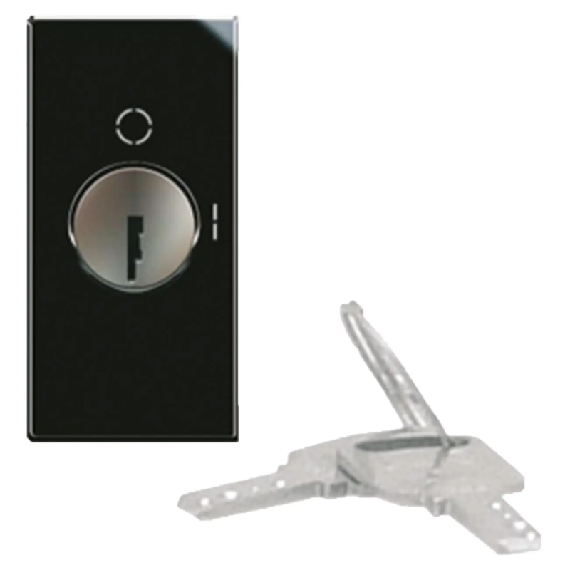 PULSANTE CHIAVE 2P NA 10A   LIFE 1M - AVE 442075