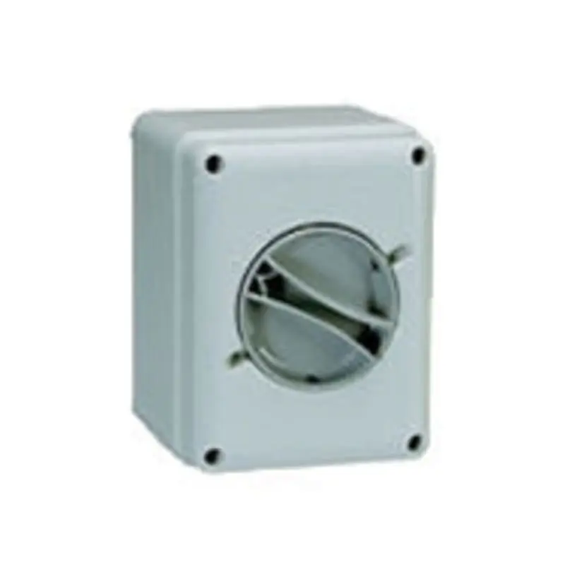 CAM-SZ INT CONT IS 4X40A STD IP65 - PALAZZOLI 209414