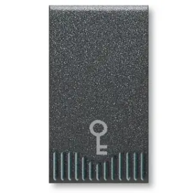 PULSANTE NA SIMB.CHIAVE NOIR - AVE 45305K