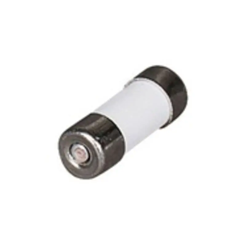 CARTUCCIA FUS 8X23 TAIS 2A 220V - PALAZZOLI 302091