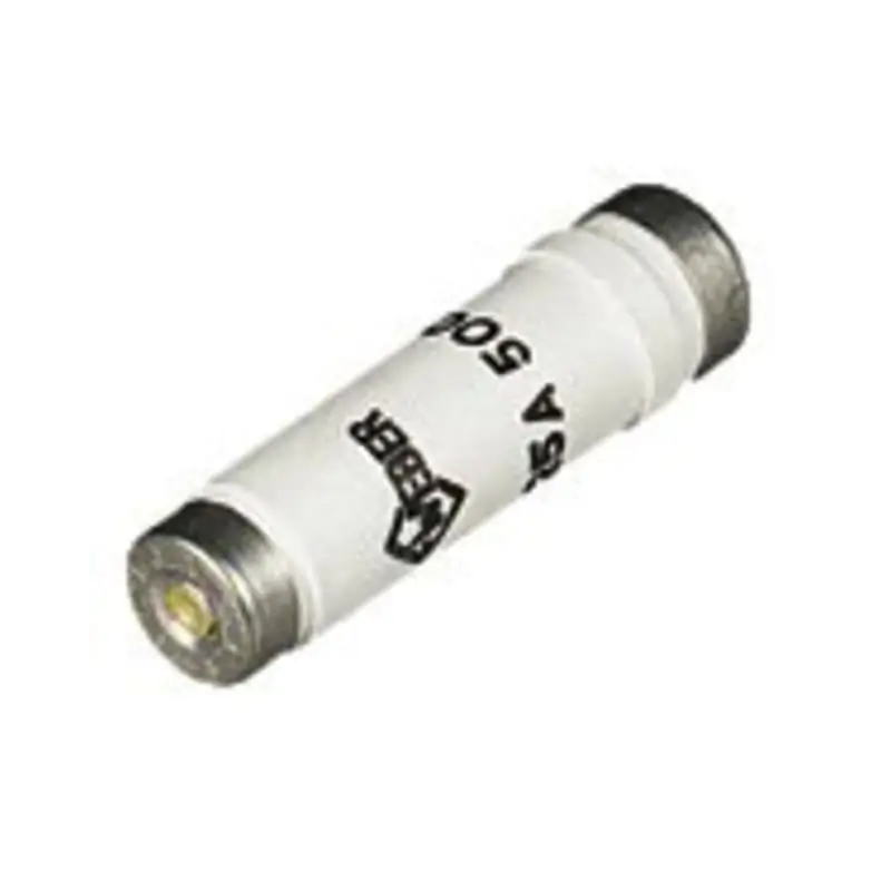 CARTUCCIA FUS E16 25A RAP - PALAZZOLI 348122