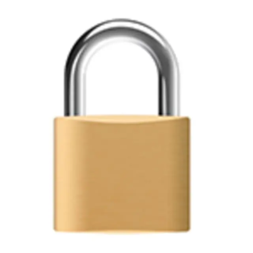 LUCCHETTO X-CEE - PALAZZOLI 419000