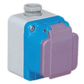 TAIS-MGN PR PAR 2P 16A 42V 1U IP44 - PALAZZOLI 471104