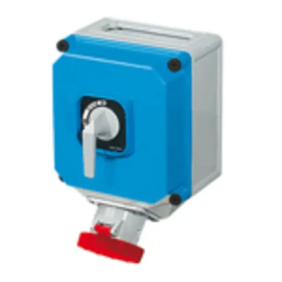 TAIS PR I/B EL+MGT 3P+N+T 125A 400V - PALAZZOLI 478446