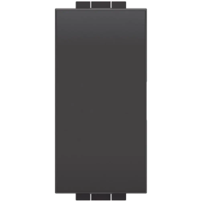 LL - doppio pulsante 1P NO 10A  antracite - BTicino L4036N