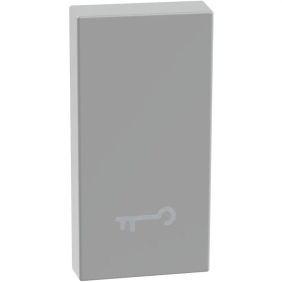 MatixGO - cover comando chiave 1m ax g - BTicino JG4916F