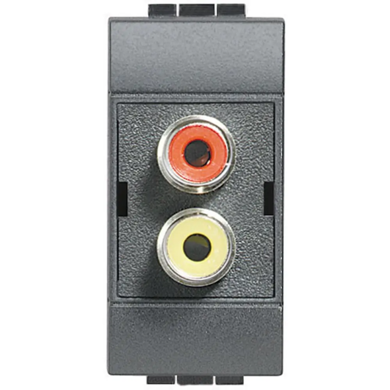 living int - modulo doppio RCA - BTicino L4269R